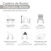 Cadeira de Rodas Trânsito Alma