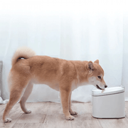 SmartPet Water Fountain Xiaomi