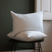 Almofada Ergonómica Viscoelástica Blanky Cloud