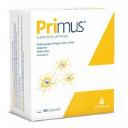 Primus Função Cerebral