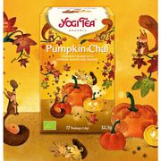 Infusão Bio Pumpkin Chai - Abóbora, Gengibre e Laranja