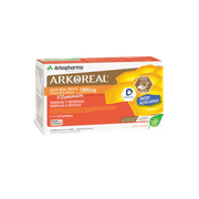 Arkoreal Geleia Real Vitaminada Amp Laranja S/ Açúcar 20