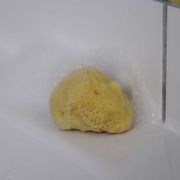 Esponja Natural para Bebés Croll & Denecke