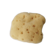 Esponja Natural para Bebés Croll & Denecke