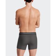 Boxer de desporto Impetus