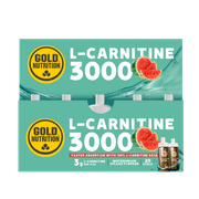 Suplemento Alimentar Gold Nutrition L-Carnitina (20x10 ml)